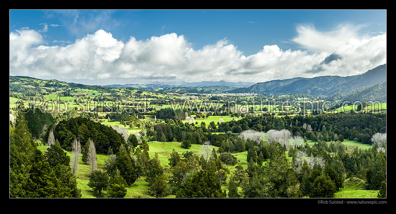 Image of Farmland of the Waihou Valley, looking towards Rangiahua. Remnant trees and forest, with Puketi Forest range on right. Panorama, Waihou Valley, Far North District, Northland Region, New Zealand (NZ) stock photo image