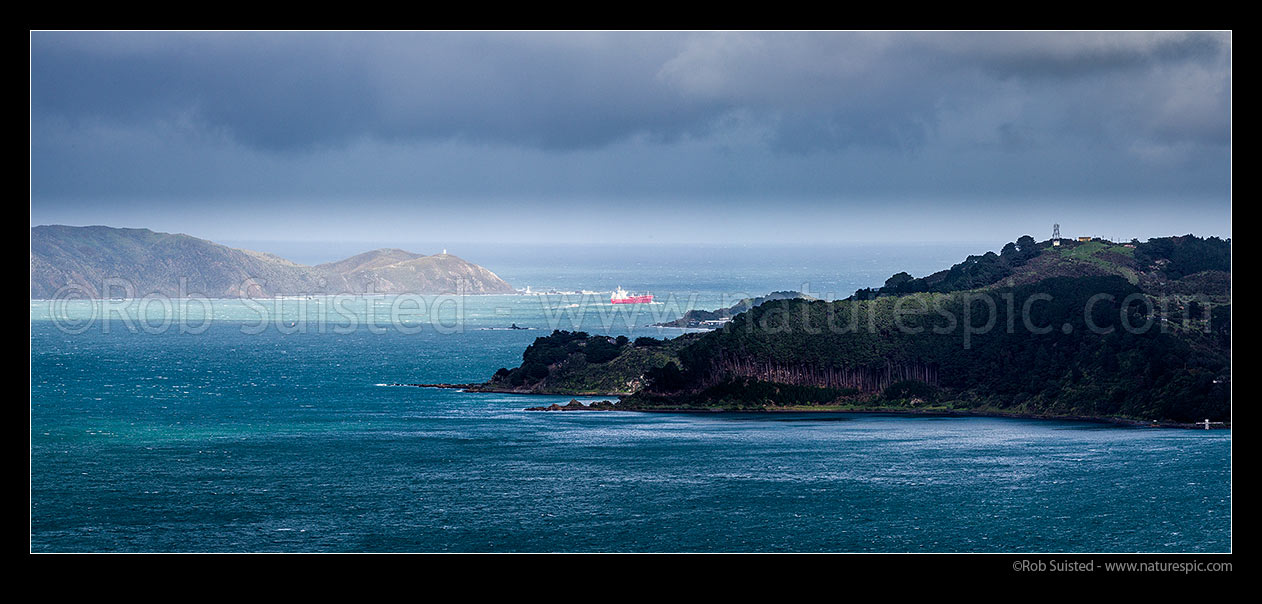 Image of Wellington Harbour entrance with ship leaving into southerly weather front. Iver Express tanker passing Pencarrow lights. Point Halswell & Kau Bay foreground. Panorama, Wellington Harbour, Wellington City District, Wellington Region, New Zealand (NZ) stock photo image