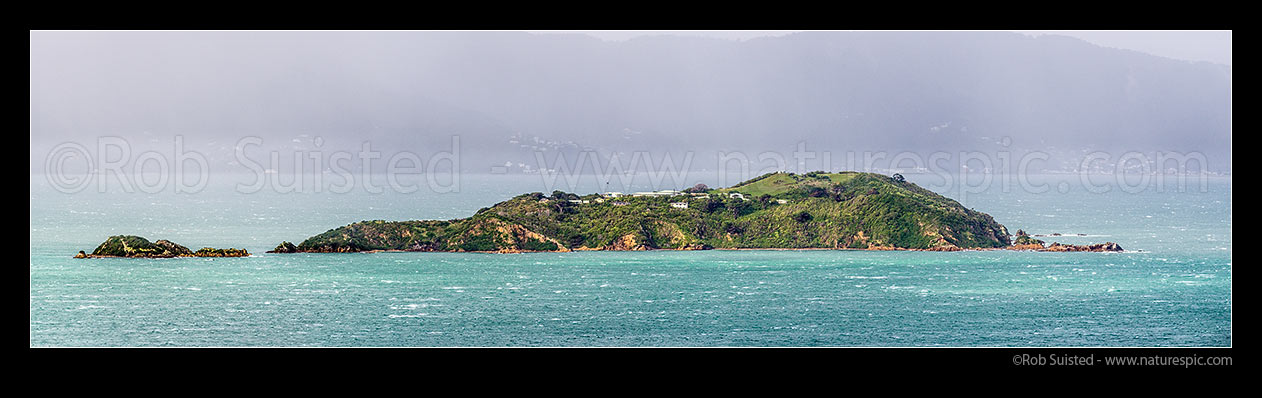 Image of Matiu/Somes Island Scientific and Historic Reserve in Wellington Harbour, during a moody southerly cold front. Eastbourne hills behind. Panorama, Wellington Harbour, Wellington City District, Wellington Region, New Zealand (NZ) stock photo image