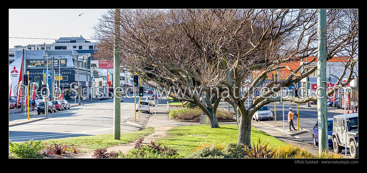 Image of Cambridge Terrace (left) and Kent Terrace (right). Panorama, Wellington, Wellington City District, Wellington Region, New Zealand (NZ) stock photo image