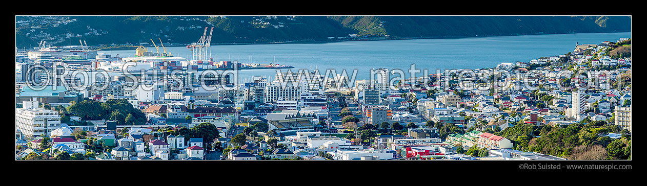 Image of Wellington City, seen from Newtown, past Basin Reserve towards the harbour and CentrePort. Mt Victoria houses at right. Panorama, Wellington, Wellington City District, Wellington Region, New Zealand (NZ) stock photo image