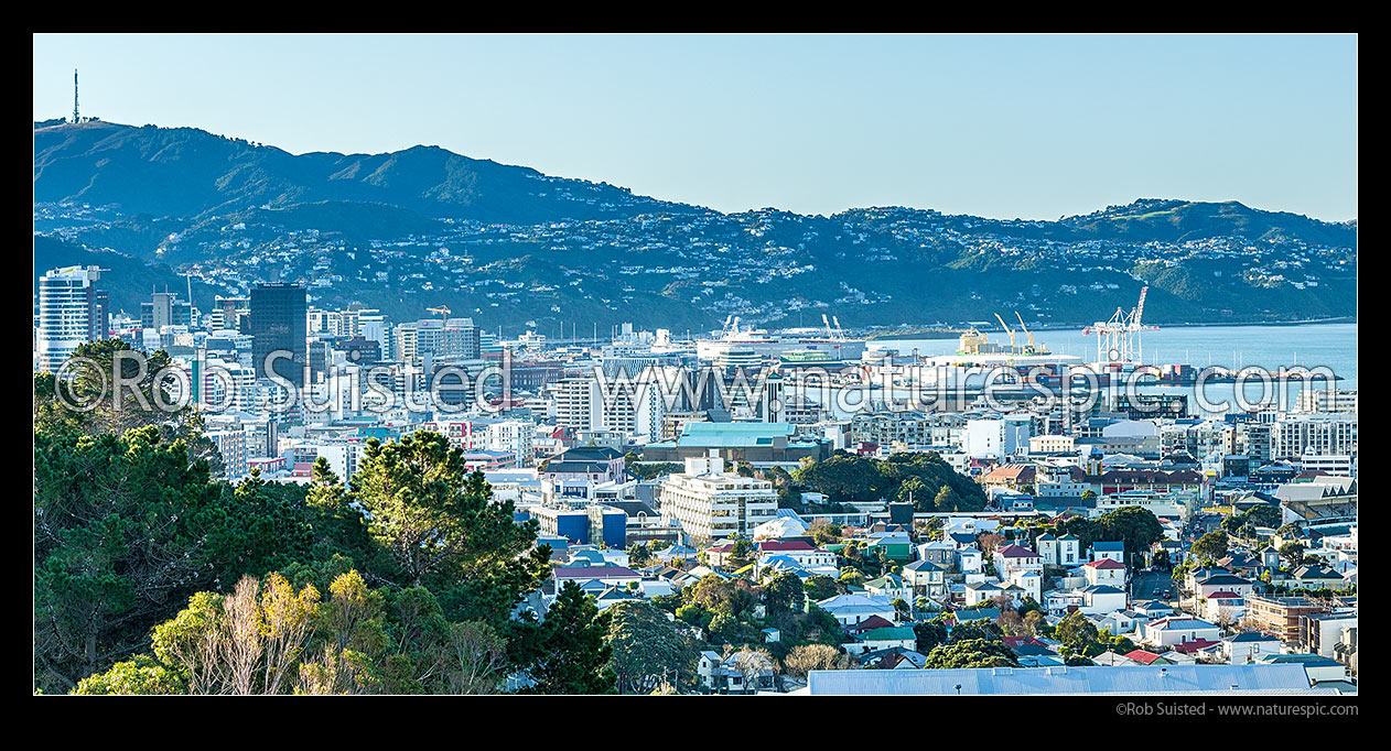 Image of Wellington Central Business District (CBD), Westpac Stadium, and Container Terminal port, seen from south. Mt Kaukau, Wadestown and Ngaio suburbs behind. Panorama, Wellington, Wellington City District, Wellington Region, New Zealand (NZ) stock photo image