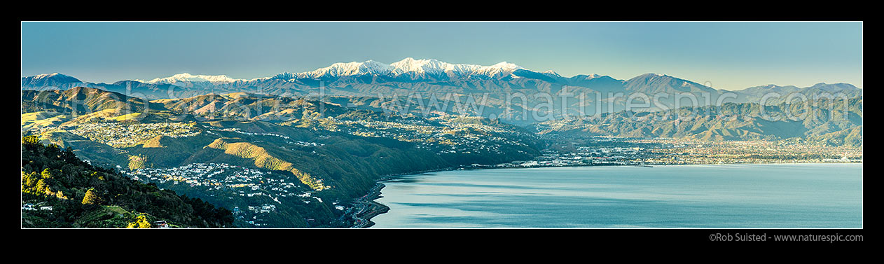 Image of Tararua Ranges and Mount Hector (1529m) above the Hutt Valley and Wellington Harbour. Winter snowfall, late afternoon. Khandallan & Newlands suburbs left. Panorama, Wellington, Wellington City District, Wellington Region, New Zealand (NZ) stock photo image