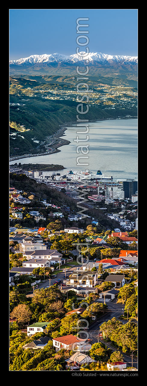 Image of Snowy Tararua Ranges above Korokoro, Ngauranga, Kaiwharawhara, Thorndon and Karori suburbs. Vertical panorama, Wellington, Wellington City District, Wellington Region, New Zealand (NZ) stock photo image