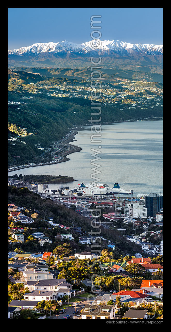 Image of Snowy Tararua Ranges above Korokoro, Ngauranga, Kaiwharawhara, Thorndon and Karori suburbs. Vertical panorama, Wellington, Wellington City District, Wellington Region, New Zealand (NZ) stock photo image