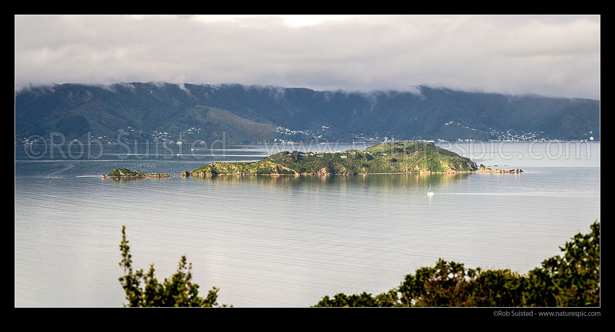 Image of Matiu/Somes Island Scientific and Historic Reserve in Wellington Harbour, with passing yacht. Eastbourne hills behind. Panorama, Wellington Harbour, Hutt City District, Wellington Region, New Zealand (NZ) stock photo image