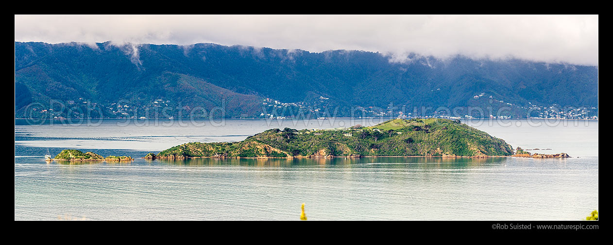 Image of Matiu/Somes Island Scientific and Historic Reserve in Wellington Harbour, with yacht rounding Mokopuna Island. Eastbourne hills behind. Panorama, Wellington Harbour, Hutt City District, Wellington Region, New Zealand (NZ) stock photo image