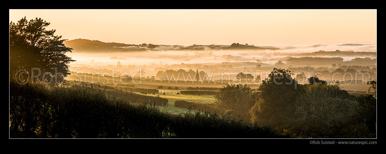 Image of North Waikato golden sunrise, with morning mist lifting from farmland near the Waikato River. Panorama, Tuakau, Franklin District, Waikato Region, New Zealand (NZ) stock photo image