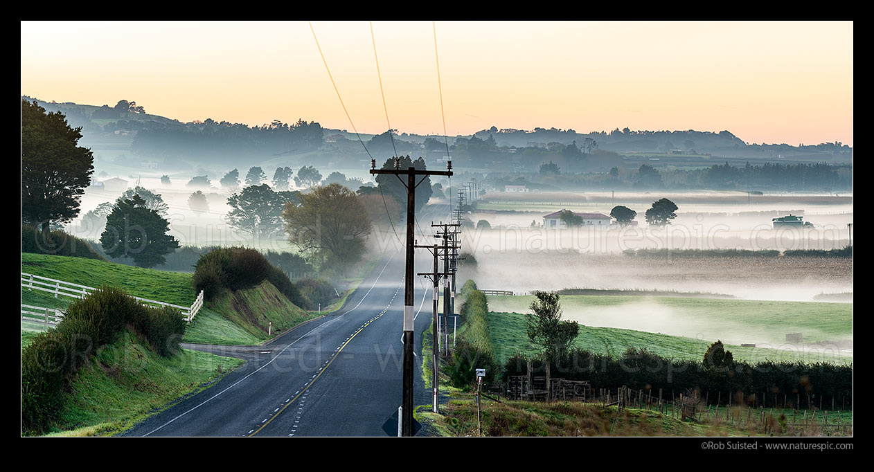 Image of Morning mist over rural agricultural land, crops and pasture, near Puni. Waiuku Road. Panorama, Waiuku, Papakura District, Auckland Region, New Zealand (NZ) stock photo image