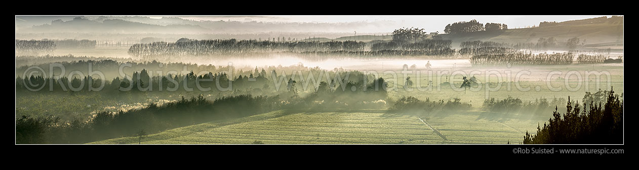 Image of Waikato River valley farmland, early morning river mist amongst trees and farmland. Massive wide panorama, New Zealand (NZ) stock photo image