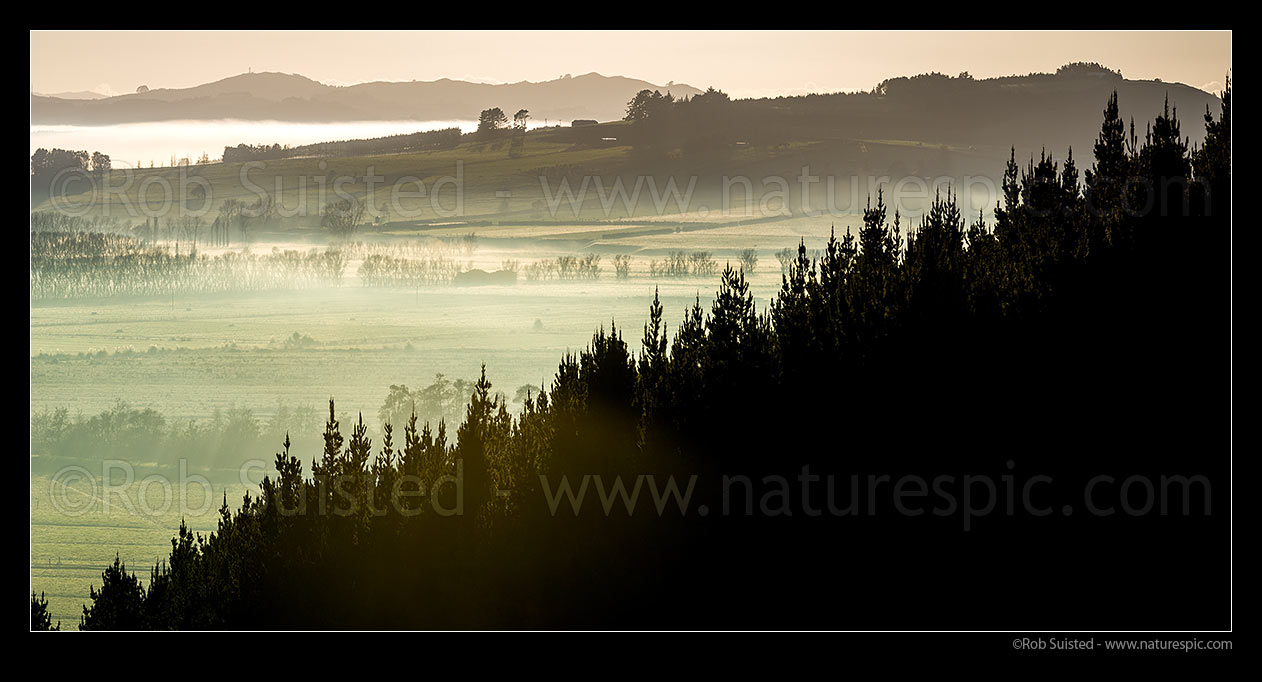 Image of Waikato River valley farmland with morning river mist over rural land, trees and plantation forestry. Panorama, Te Kohanga, Franklin District, Waikato Region, New Zealand (NZ) stock photo image