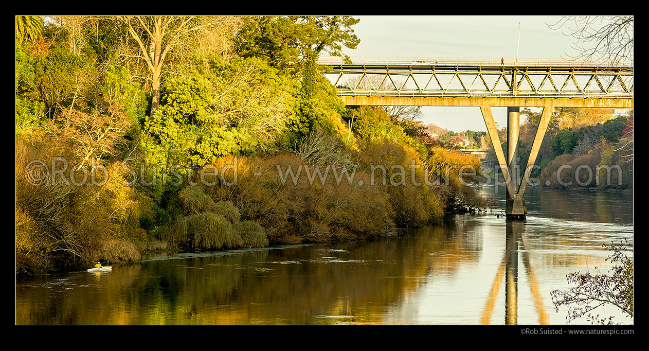 Image of Waikato River sunset near Hamilton Central, with lone kayaker paddling upstream past homes towards Claudelands Bridge. Panorama, Hamilton, Hamilton City District, Waikato Region, New Zealand (NZ) stock photo image