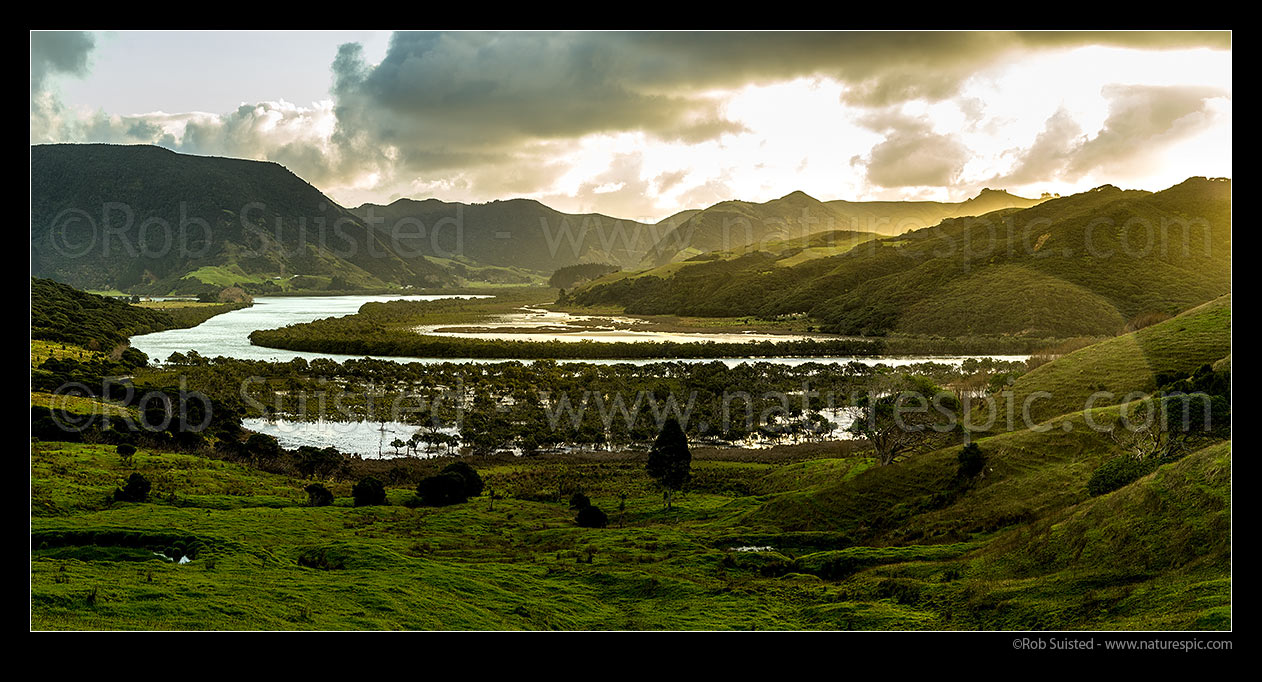 Image of Whangape Harbour and Awaroa River, looking towards Whangape beyond tidal mangrove forests, with beautiful evening sunlight. Panorama, Whangape, Far North District, Northland Region, New Zealand (NZ) stock photo image