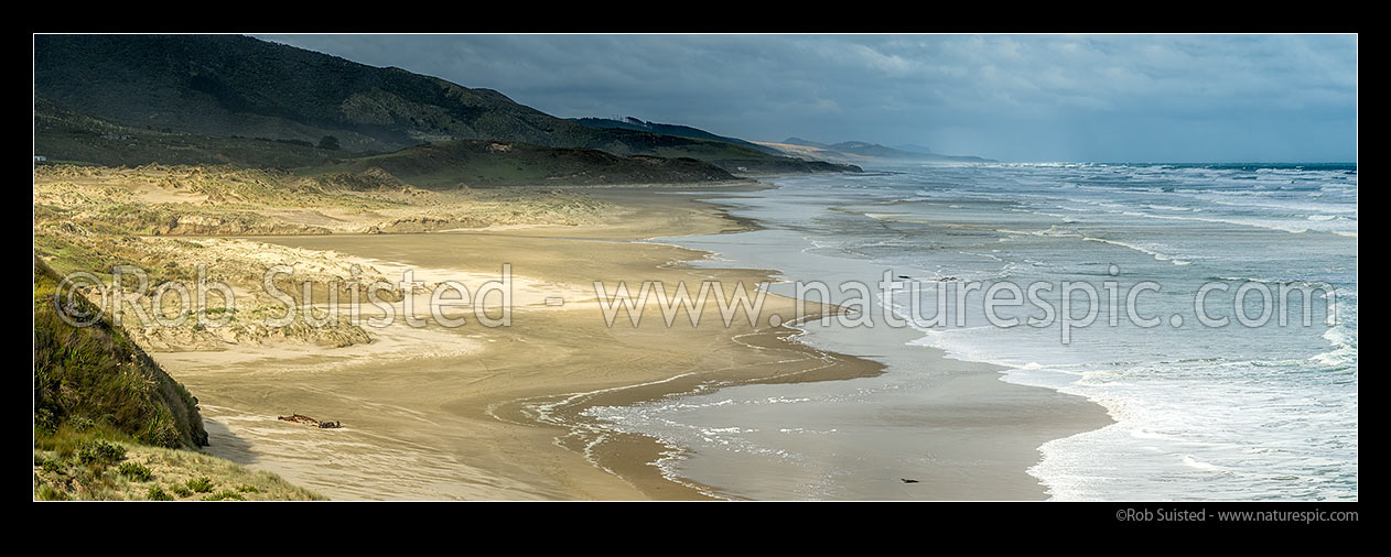 Image of Mitimiti Beach, on the wild west coast, with stormy seas breaking onto the wide open golden sands. Panorama, Mitimiti, Far North District, Northland Region, New Zealand (NZ) stock photo image