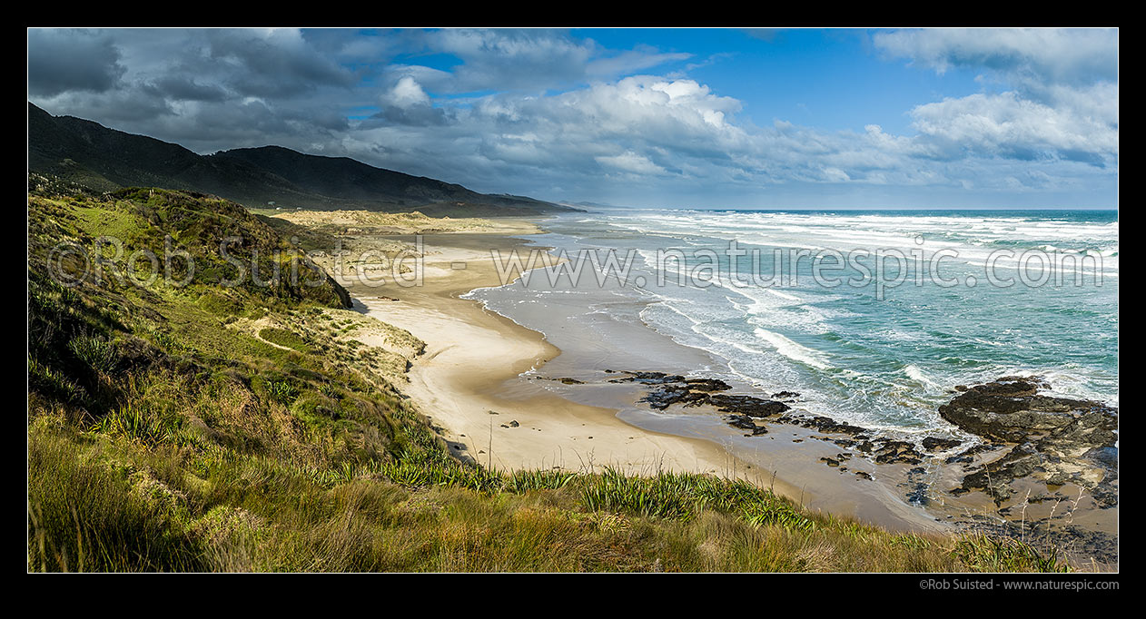 Image of Mitimiti Beach, seen from Moerewa Point, looking south towards the Hokianga Harbour mouth. Panorama, Mitimiti, Far North District, Northland Region, New Zealand (NZ) stock photo image