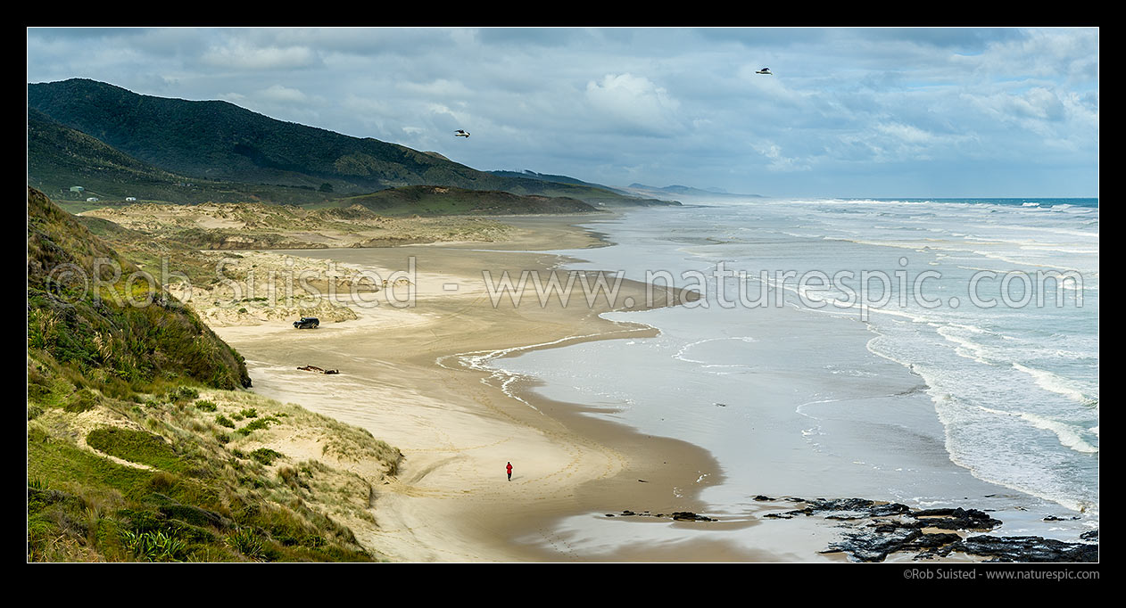 Image of Mitimiti Beach with walker and 4x4 vehicle, on a moody west coast day. Looking south from Moerewa Point. Panorama, Mitimiti, Far North District, Northland Region, New Zealand (NZ) stock photo image