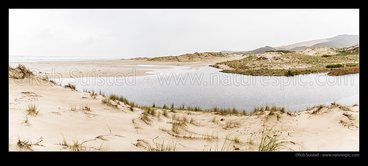 Image of Tauroa Peninsula sand dune lake on Hukatere Stream on Tauroa Beach, a remote 15km west of Ahipara. Ahipara Conservation Area. Panorama, Ahipara, Far North District, Northland Region, New Zealand (NZ) stock photo image