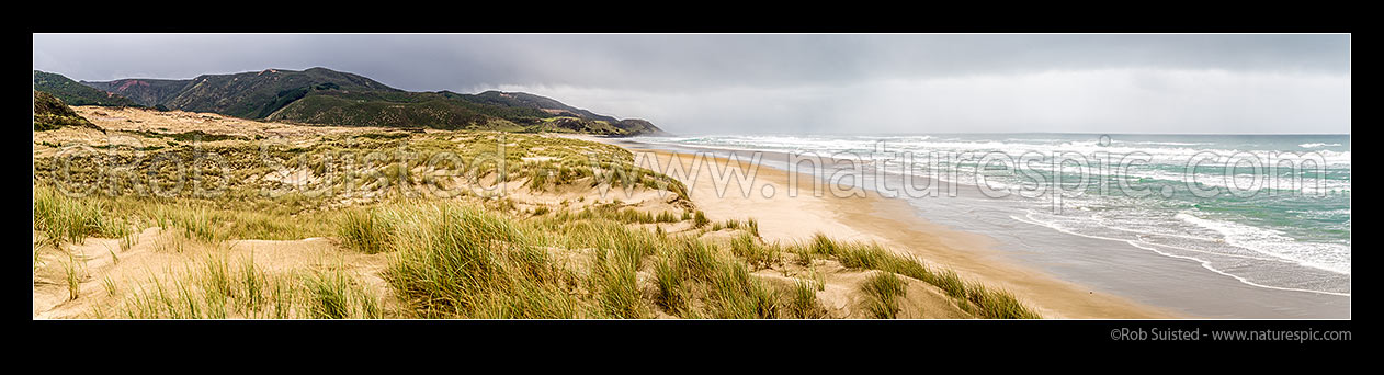 Image of Tauroa Peninsula Beach, looking south over sand dunes to Hukatere Stream and Ahipara Conservation Area. Panorama, Ahipara, Far North District, Northland Region, New Zealand (NZ) stock photo image