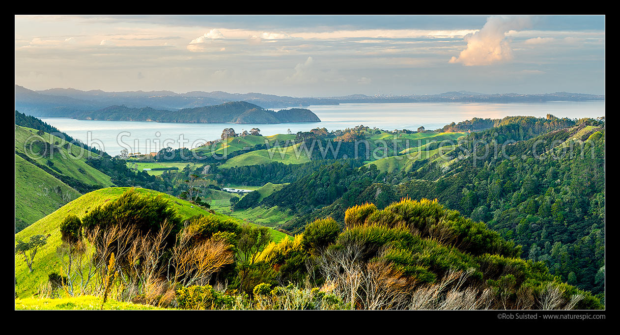 Image of Awhitu Peninsula, looking towards Manukau Harbour with Wattle Bay and Cornwallis Peninsula at left, Auckland City and Sky Tower visible centre right distance. Panorama, Awhitu Peninsula, Papakura District, Auckland Region, New Zealand (NZ) stock photo image