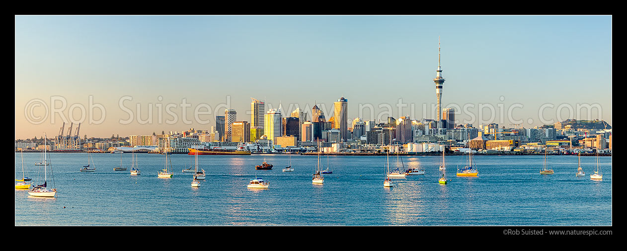 Image of Auckland City Skyline, CBD, and moored sailboats, seen from across the Waitemata Harbour on a calm morning. Panorama as golden sun lights the city at dawn, Auckland, Auckland City District, Auckland Region, New Zealand (NZ) stock photo image