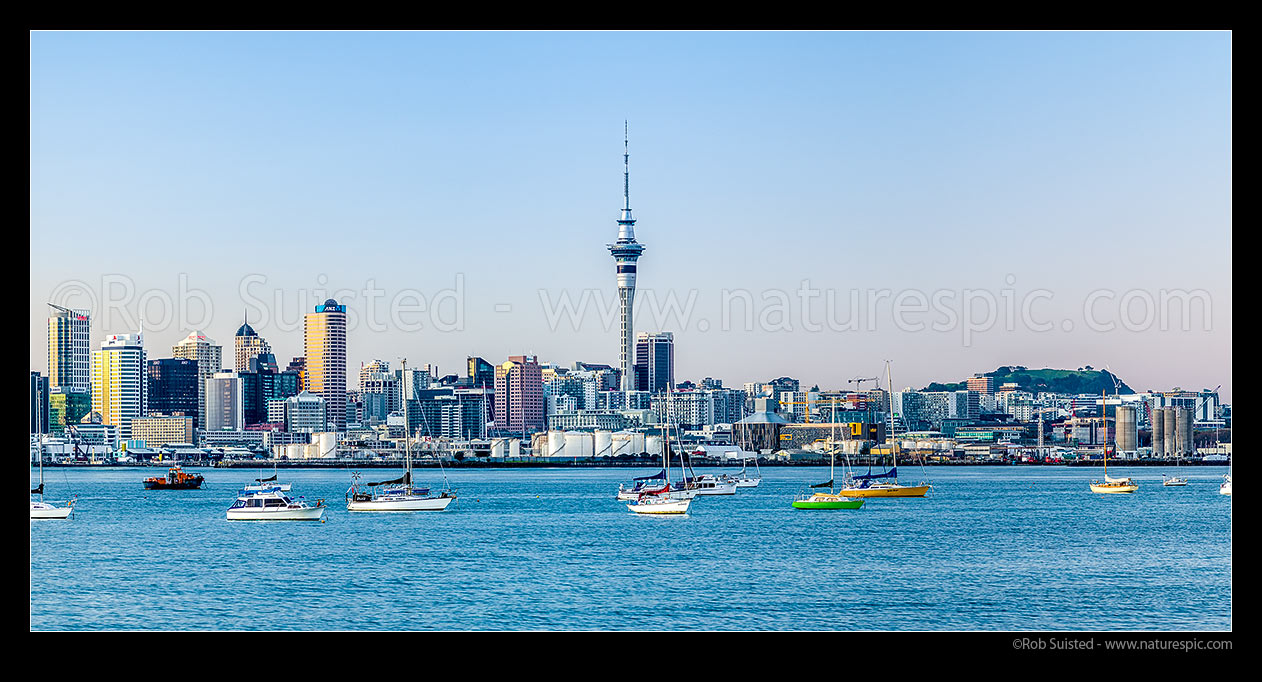 Image of Auckland City CBD, Sky Tower, and moored sailboats in the Waitemata Harbour on a calm pre-dawn morning. Panorama of Auckland Skyline, Auckland, Auckland City District, Auckland Region, New Zealand (NZ) stock photo image