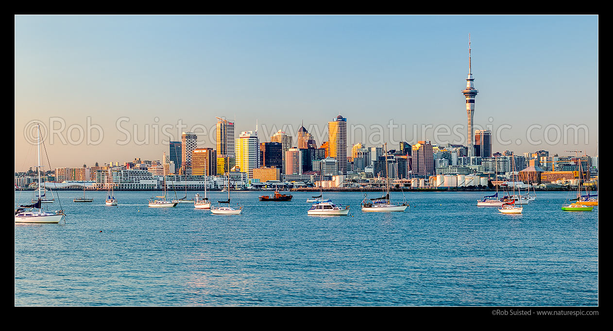 Image of Auckland City at sunrise. Panorama of Sky Tower, CBD and waterfront, with moored sailboats on the Waitemata harbour, Auckland, Auckland City District, Auckland Region, New Zealand (NZ) stock photo image