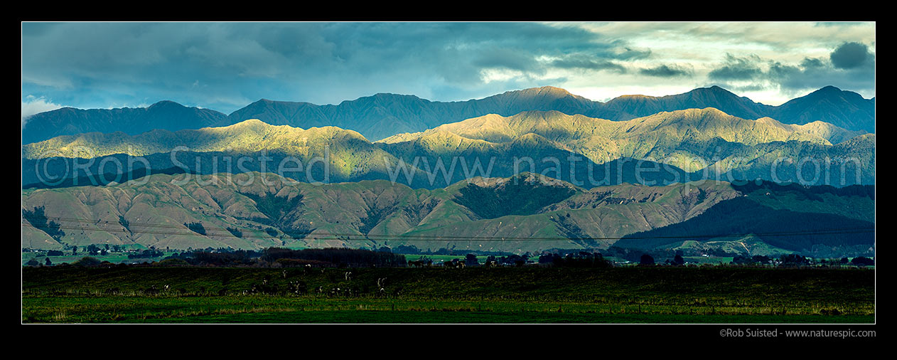 Image of Tararua Ranges and northern foothills. Sunlit Pukemoremore Peak (1474m) centre right, The Camelbacks, Ohau Catchment etc. Koputaroa foreground. Panorama, Foxton, Horowhenua District, Manawatu-Wanganui Region, New Zealand (NZ) stock photo image