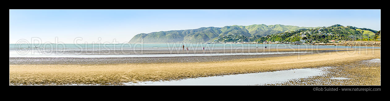 Image of Mother and children on Mana Beach at Goat Point with Plimmerton and Karehana Bay behind. Te Rewarewa Point far left. Panorama, Mana, Plimmerton, Porirua City District, Wellington Region, New Zealand (NZ) stock photo image