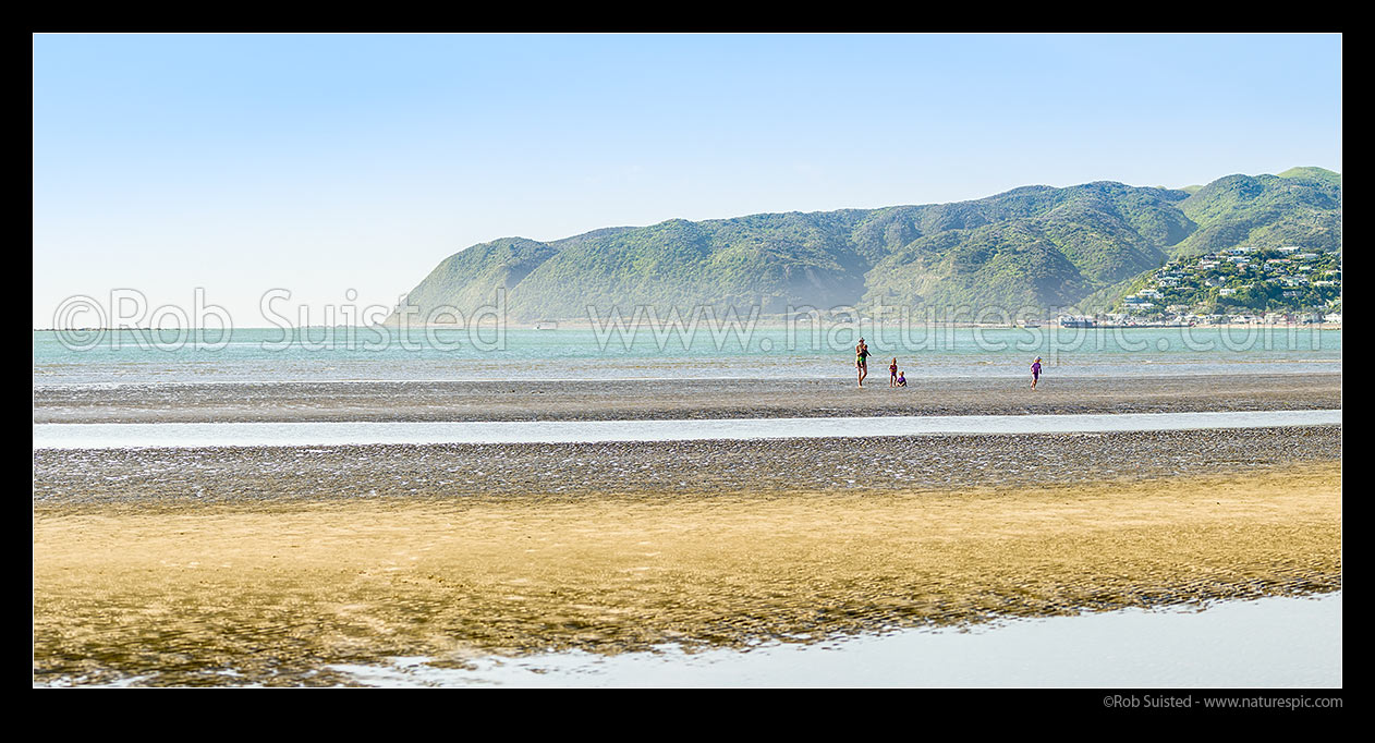 Image of Mana Beach at Goat Point, with people (mother and her children) at low tide with ripples. Te Rewarewa Point and Plimmerton behind. Panorama, Mana, Plimmerton, Porirua City District, Wellington Region, New Zealand (NZ) stock photo image