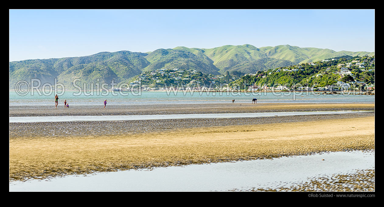 Image of Mana Beach at Goat Point, with Plimmerton and Karehana Bay behind. Mother and kids on beach. Panorama, Mana, Plimmerton, Porirua City District, Wellington Region, New Zealand (NZ) stock photo image