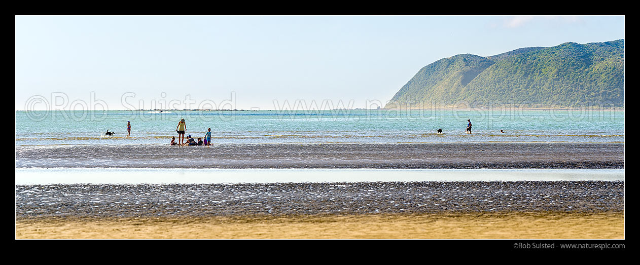 Image of Family, mothers and children playing on Mana Beach at low tide, near Goat Point Plimmerton. Te Rewarewa Point behind. Panorama, Mana, Plimmerton, Porirua City District, Wellington Region, New Zealand (NZ) stock photo image