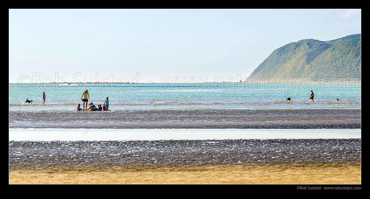 Image of Family, mothers, children playing and dog walkers on Mana Beach at low tide, near Goat Point Plimmerton. Te Rewarewa Point behind. Panorama, Mana, Plimmerton, Porirua City District, Wellington Region, New Zealand (NZ) stock photo image