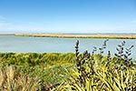 Lake Ellesmere Te Waihora, Canterbury