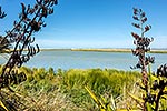 Lake Ellesmere Te Waihora, Canterbury