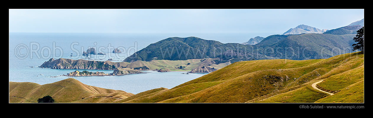 Image of D'Urville Island beyond French Pass farmland. Ohana Bay centre, with Manukau Hill behind Waikawa Bay. Paddock Rocks behind. Panorama, French Pass, Marlborough District, Marlborough Region, New Zealand (NZ) stock photo image