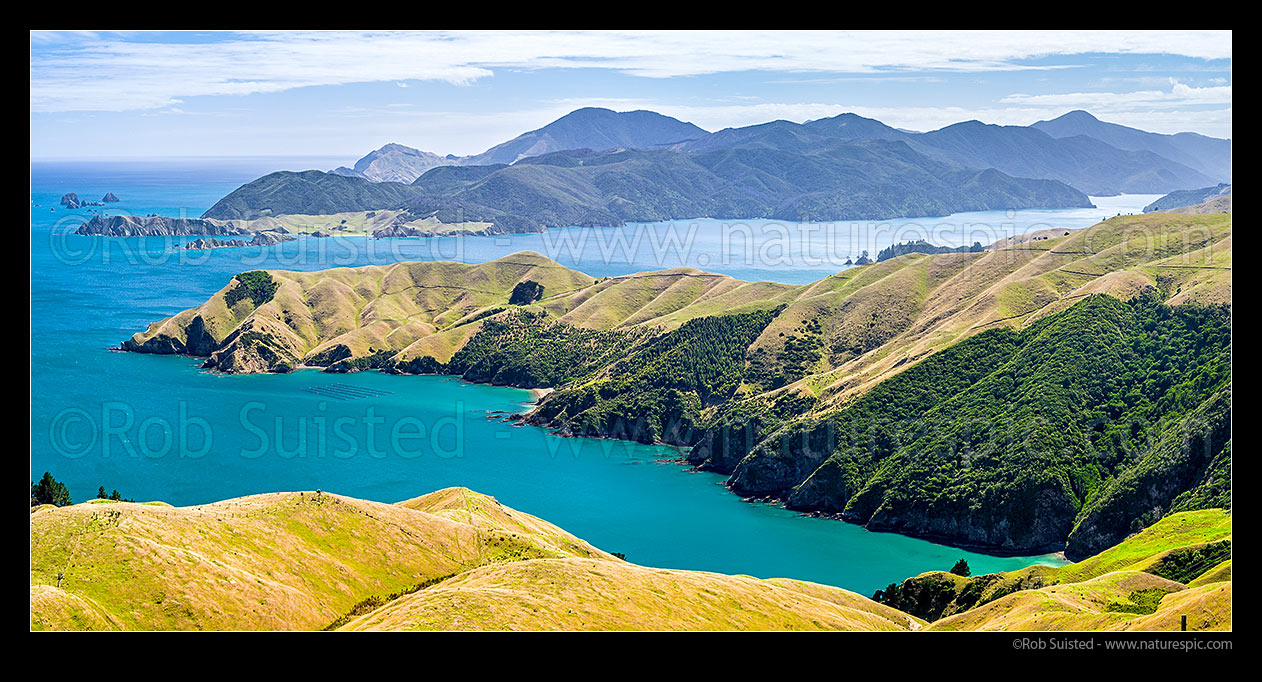 Image of Okuri Bay, French Pass farmland and native forest. D'Urville Island and Tasman Bay behind. Panorama, French Pass, Marlborough Sounds, Marlborough District, Marlborough Region, New Zealand (NZ) stock photo image