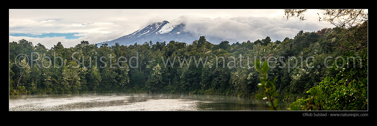 Image of Lake Rotokura nestled in forest below Mount (Mt) Ruapehu. A sacred tapu site for Ngati Rangi, tangata whenua. Panorama, Karioi, Ruapehu District, Manawatu-Wanganui Region, New Zealand (NZ) stock photo image