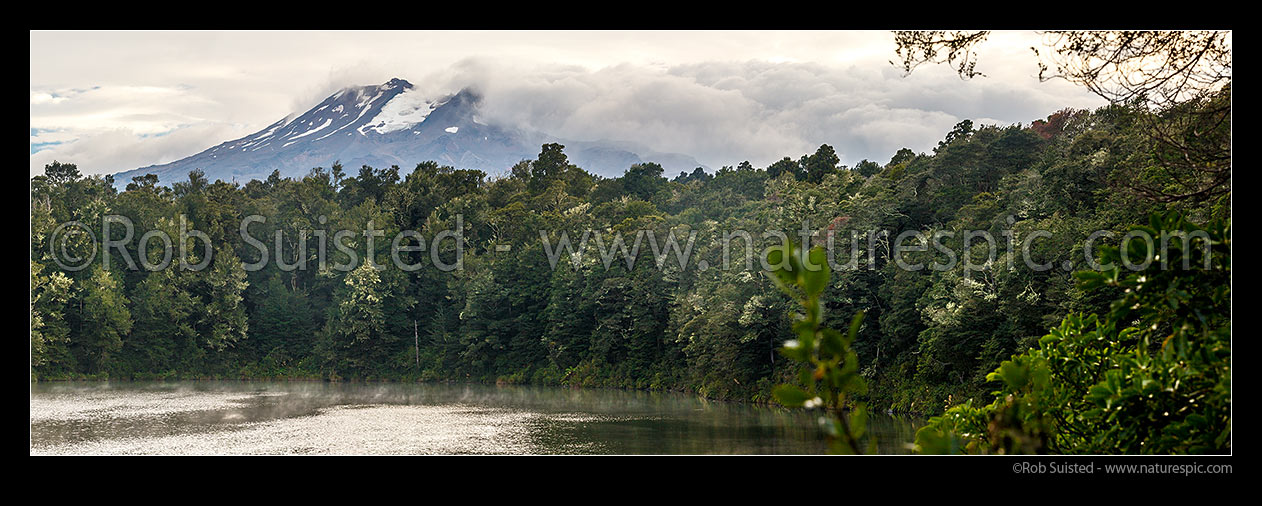 Image of Lake Rotokura nestled in forest below Mount (Mt) Ruapehu. A sacred tapu site for Ngati Rangi, tangata whenua. Panorama, Karioi, Ruapehu District, Manawatu-Wanganui Region, New Zealand (NZ) stock photo image