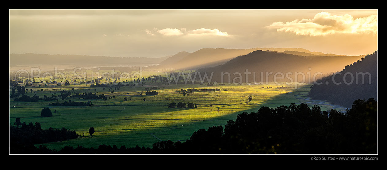 Image of South Westland rainforest and lush dairy farmland on the Cook River Flats (Weheka) bathed in last evening light as bad weather breaks. Panorama, Fox Glacier, South Westland, Westland District, West Coast Region, New Zealand (NZ) stock photo image