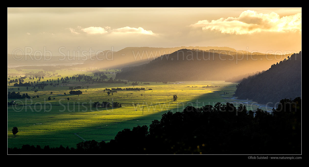 Image of South Westland rainforest and lush dairy farmland on the Cook River Flats (Weheka) bathed in last evening light as bad weather breaks. Panorama, Fox Glacier, South Westland, Westland District, West Coast Region, New Zealand (NZ) stock photo image