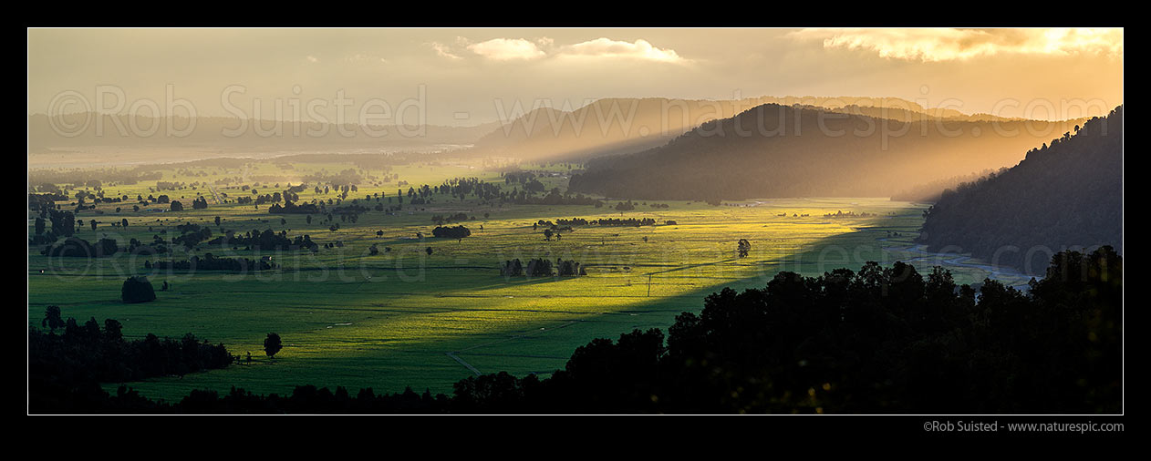 Image of Cook River Flats (Weheka) farmland and rainforest with the last golden light of the day. Clearwater River far right. Panorama, Fox Glacier, South Westland, Westland District, West Coast Region, New Zealand (NZ) stock photo image