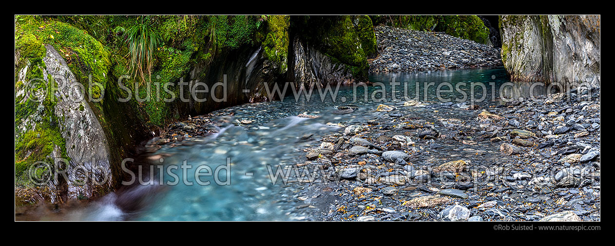 Image of Forest stream flowing through lush wet rainforest near Haast. Panorama, South Westland, Westland District, West Coast Region, New Zealand (NZ) stock photo image