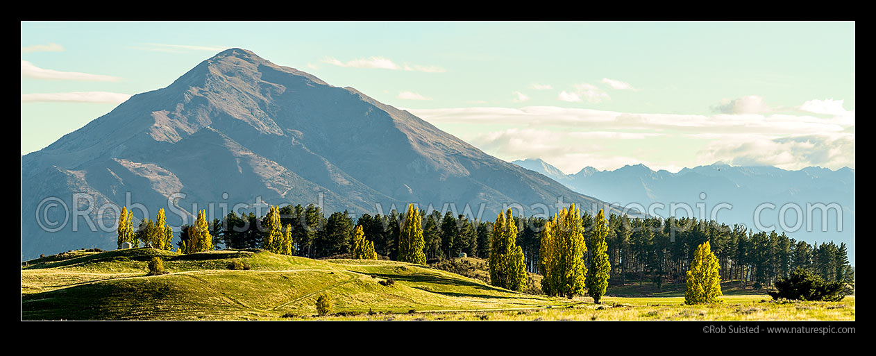 Image of Mount Maude (1315m) above central Otago farmland, with autumn coloured poplar trees. Panorama, Wanaka, Queenstown Lakes District, Otago Region, New Zealand (NZ) stock photo image