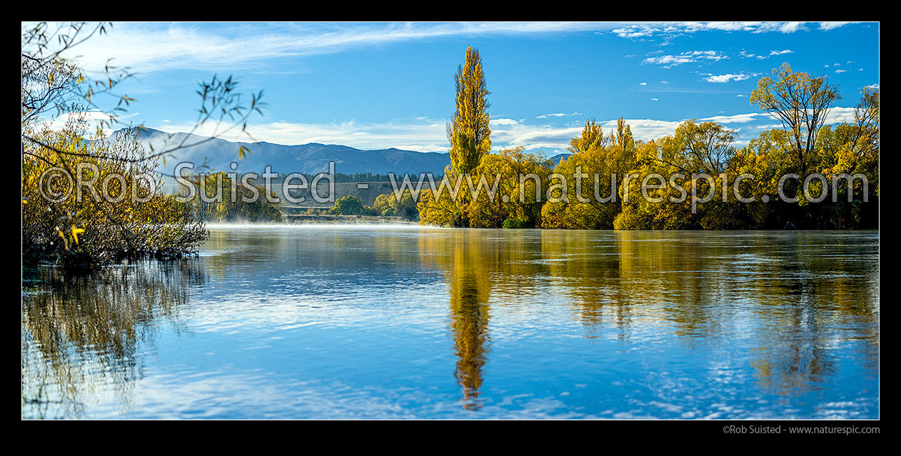 Image of Clutha River Mata-Au panorama, with golden autumn coloured trees lining the banks. Morning mist and reflections. Panorama, Albert Town, Queenstown Lakes District, Otago Region, New Zealand (NZ) stock photo image