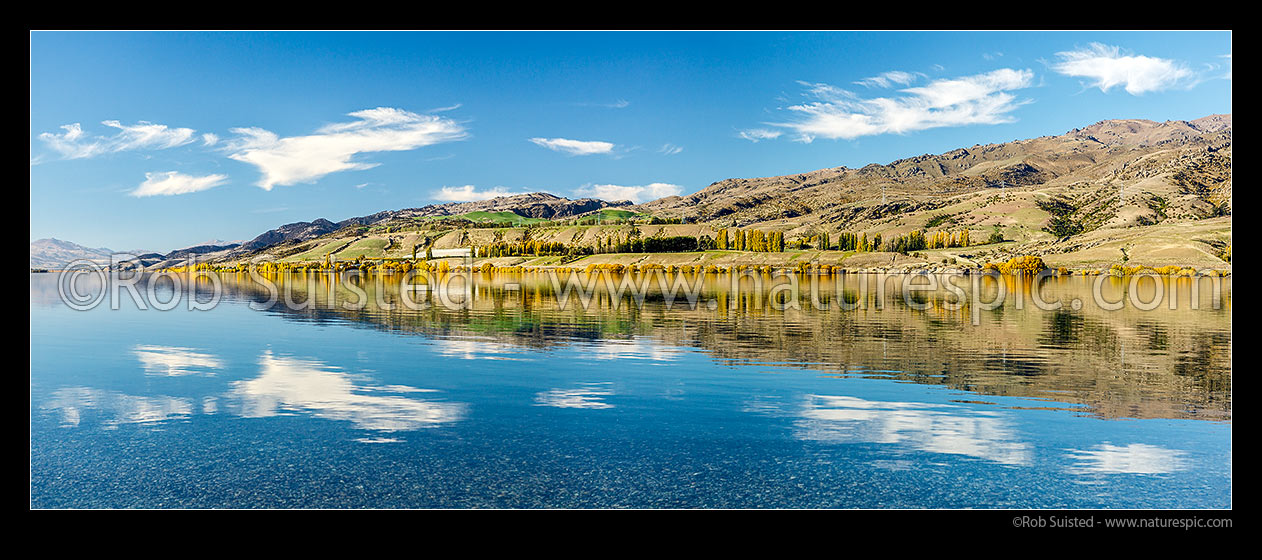 Image of Lake Dunstan reflecting Northburn, the Dunstan Mountains and autumn colours in calm water. Panorama, Wanaka, Queenstown Lakes District, Otago Region, New Zealand (NZ) stock photo image