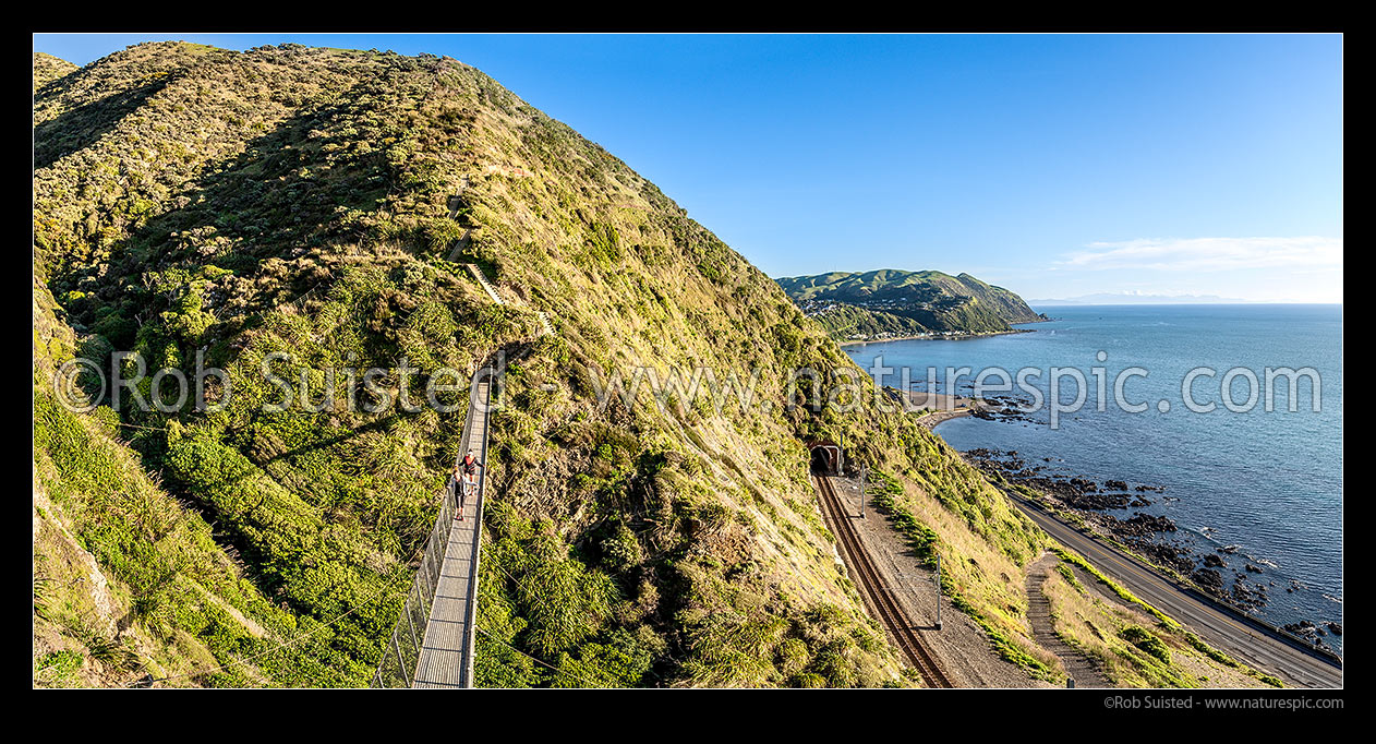 Image of Paekakariki Escarpment Track swingbridge with walkers high above coastline. A walking track linking Paekakariki to Pukerua Bay. Wairaka Point and South Island in distance. Panorama, Pukerua Bay, Kapiti Coast District, Wellington Region, New Zealand (NZ) stock photo image