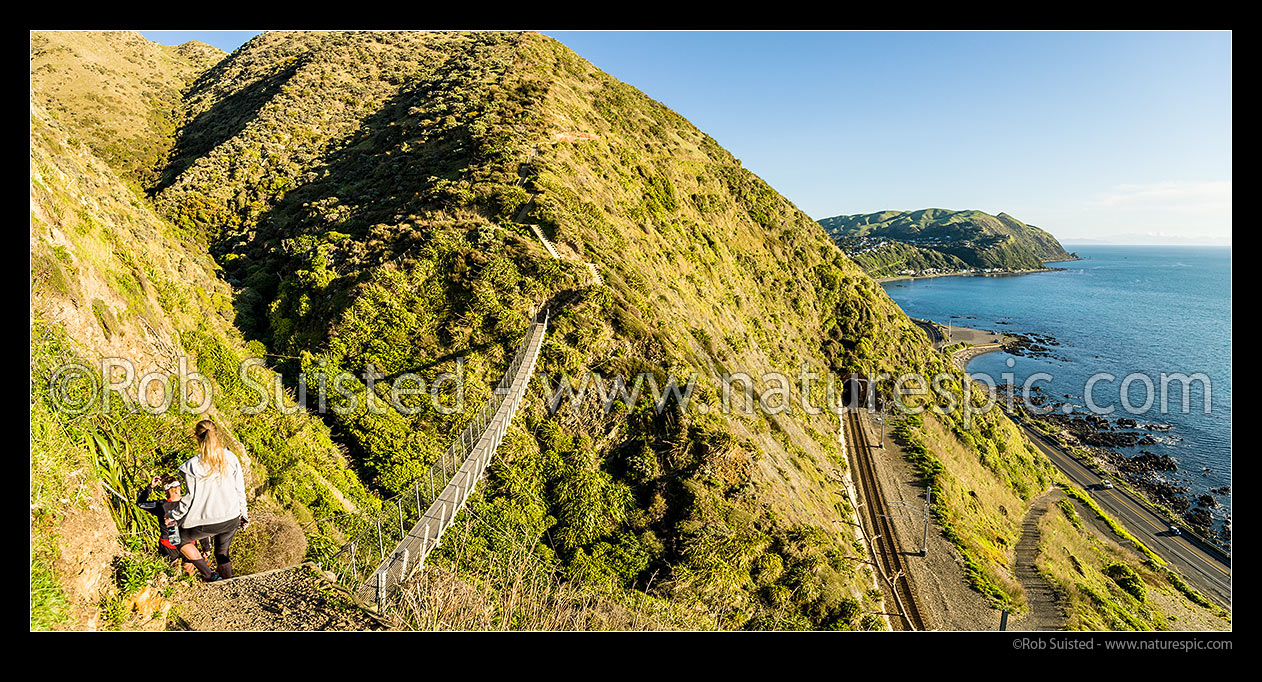 Image of Paekakariki Escarpment Track swingbridge with walkers high above coastline. A walking track linking Paekakariki to Pukerua Bay. Wairaka Point and South Island in distance. Panorama, Pukerua Bay, Kapiti Coast District, Wellington Region, New Zealand (NZ) stock photo image