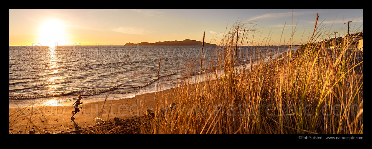 Image of Paekakariki's Whareroa Beach and Kapiti Island at sunset, with woman running dog on beach. Panorama, Paekakariki, Kapiti Coast District, Wellington Region, New Zealand (NZ) stock photo image