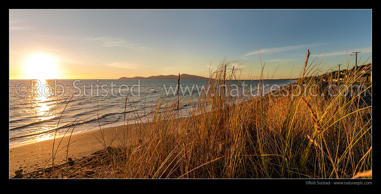 Image of Sunset on Paekakariki's Whareroa Beach, with sand dune grasses in focus. Kapiti Island behind. Panorama, Paekakariki, Kapiti Coast District, Wellington Region, New Zealand (NZ) stock photo image