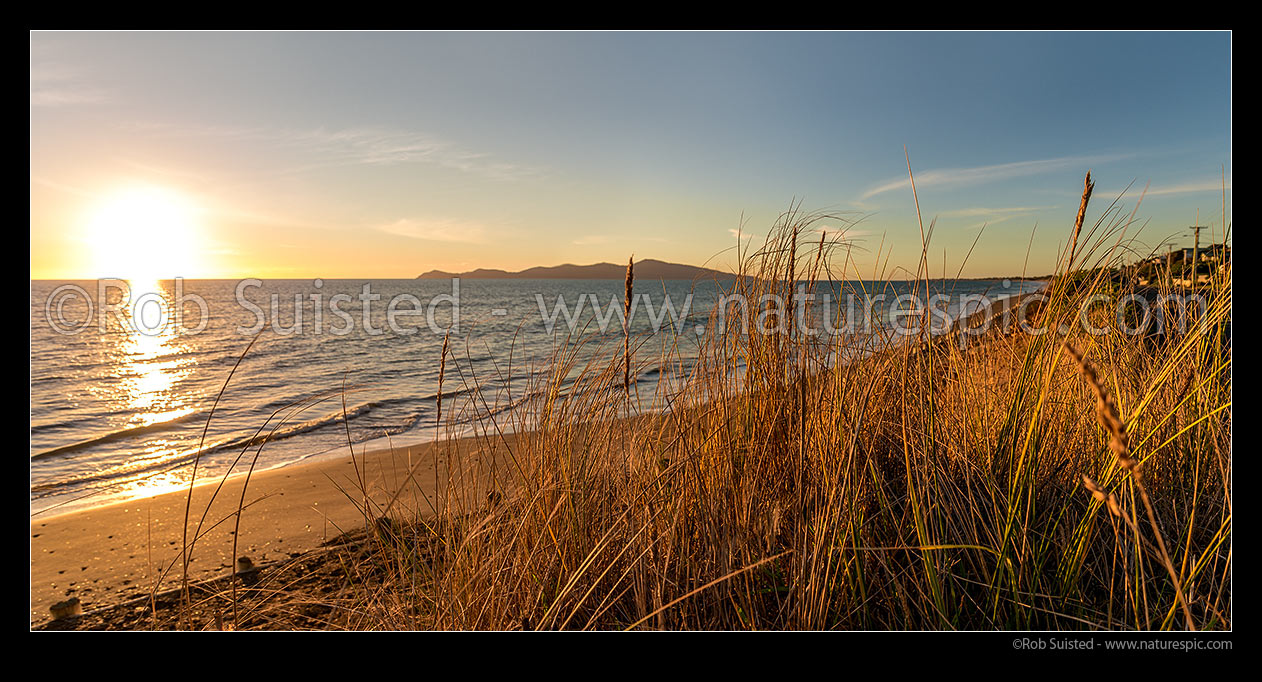 Image of Sunset on Paekakariki's Whareroa Beach, with sand dune grasses in focus. Kapiti Island behind. Panorama, Paekakariki, Kapiti Coast District, Wellington Region, New Zealand (NZ) stock photo image